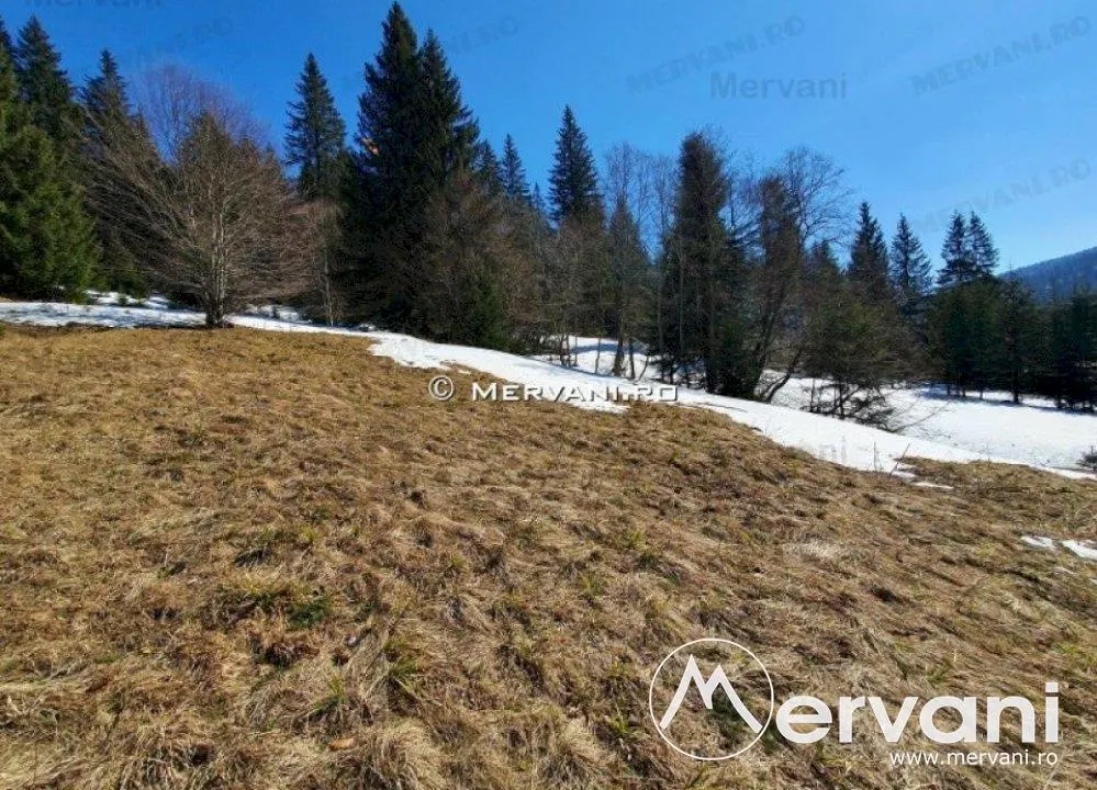 Teren de vanzare in Predeal (zona Malul Ursului) - foto 6