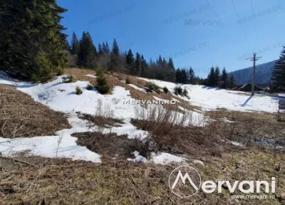 Teren de vanzare in Predeal (zona Malul Ursului) - foto 8