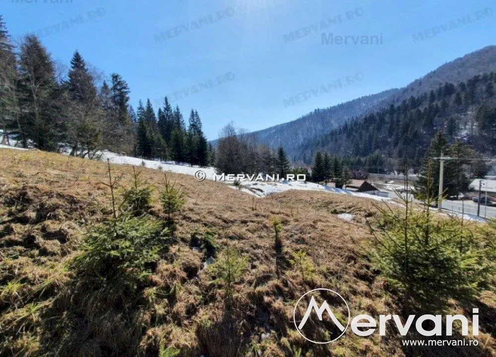 Teren de vanzare in Predeal (zona Malul Ursului) - foto 10