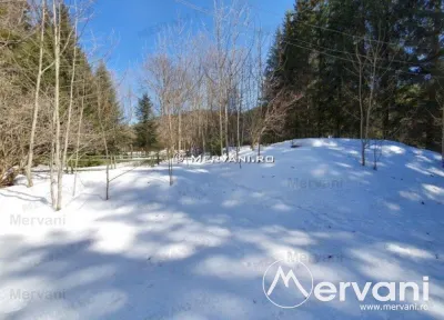 Teren de vanzare in Azuga (zona Partia de Ski) - foto 2