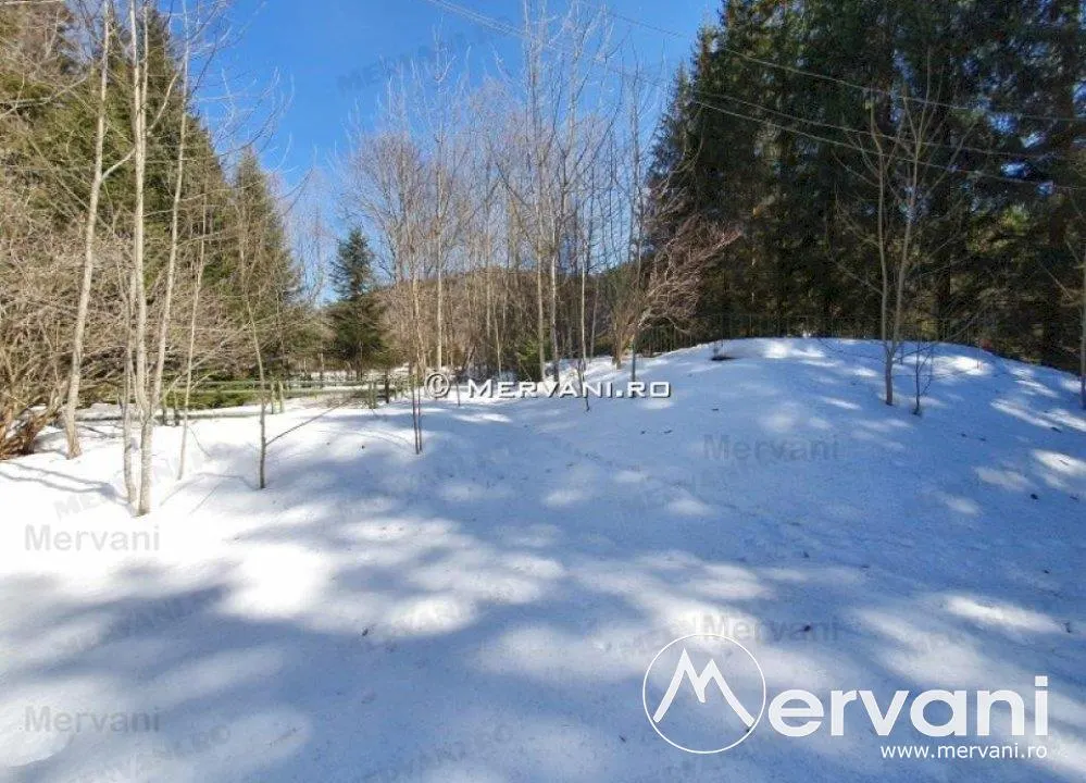 Teren de vanzare in Azuga (zona Partia de Ski) - foto 2