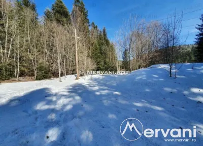 Teren de vanzare in Azuga (zona Partia de Ski) - foto 4
