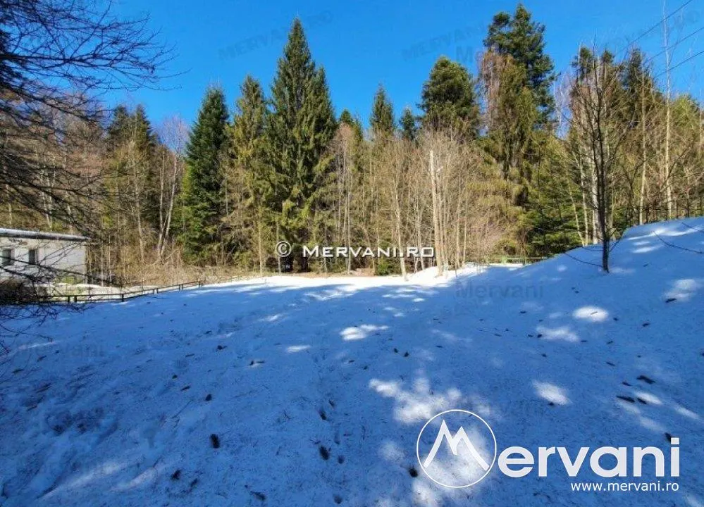 Teren de vanzare in Azuga (zona Partia de Ski) - foto 5
