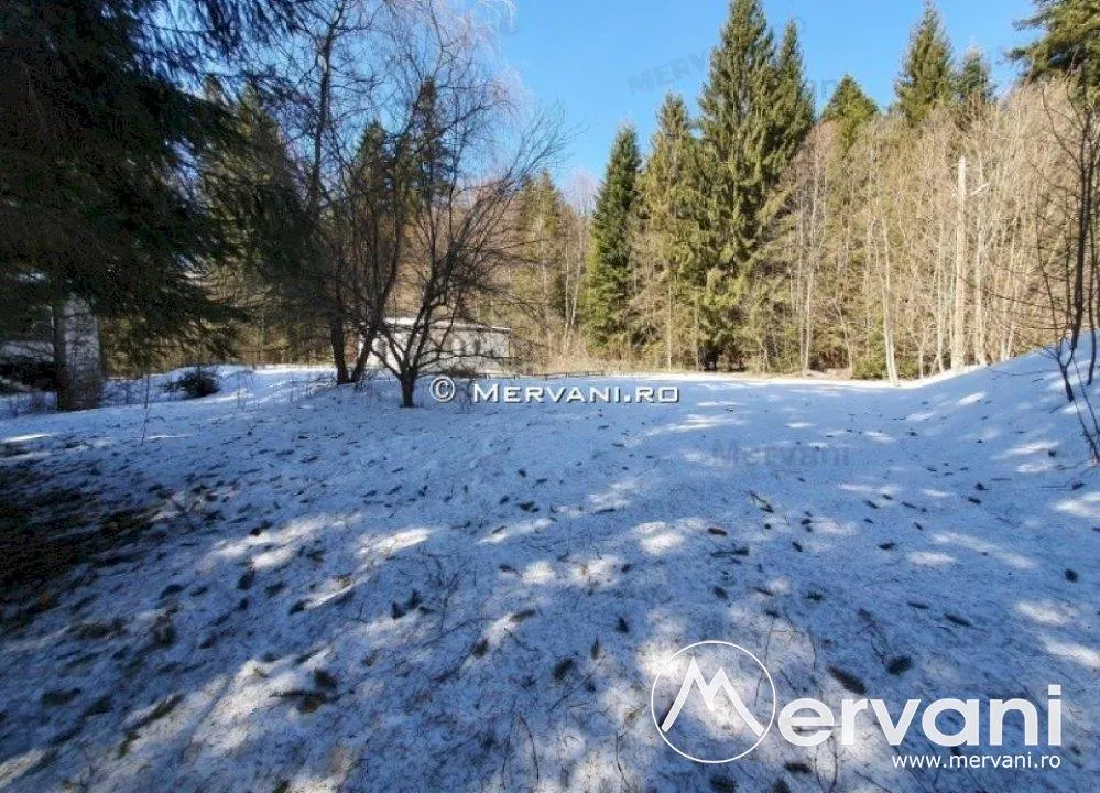 Teren de vanzare in Azuga (zona Partia de Ski) - foto 6