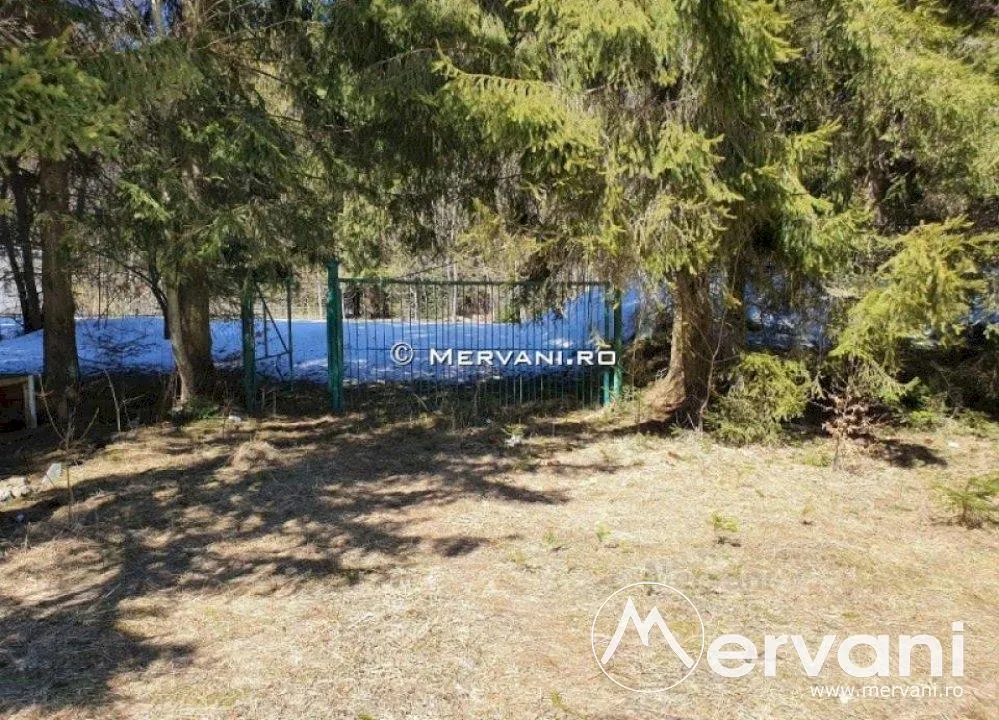 Teren de vanzare in Azuga (zona Partia de Ski) - foto 7