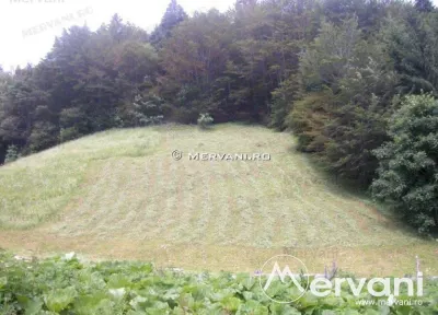 Teren de vanzare in Azuga (zona Semicentrala) - Azuga