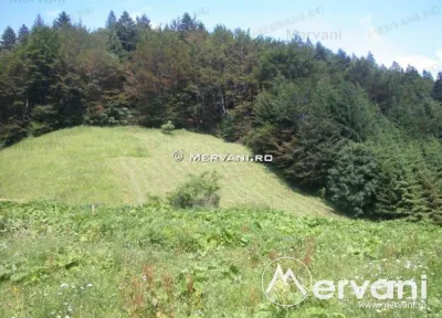 Teren de vanzare in Azuga (zona Semicentrala) - foto 2