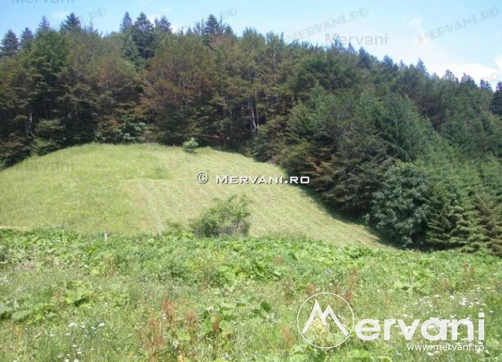 Teren de vanzare in Azuga (zona Semicentrala) - foto 2