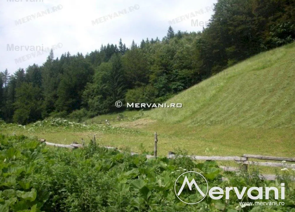 Teren de vanzare in Azuga (zona Semicentrala) - foto 3