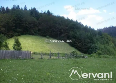 Teren de vanzare in Azuga (zona Semicentrala) - foto 4