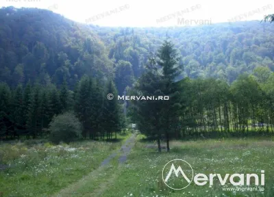 Teren de vanzare in Azuga (zona Semicentrala) - foto 6