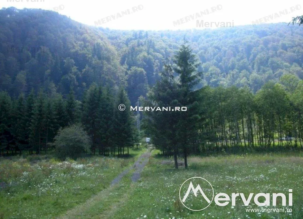 Teren de vanzare in Azuga (zona Semicentrala) - foto 6