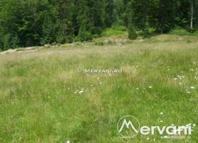 Teren de vanzare in Azuga (zona Centrala) - foto 3