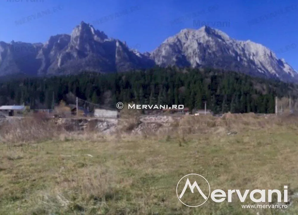 Teren de vanzare in Busteni (zona Zamora) - foto 1