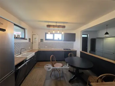 Duplex - Valea Lupului - 600metri Antibiotice - foto 2