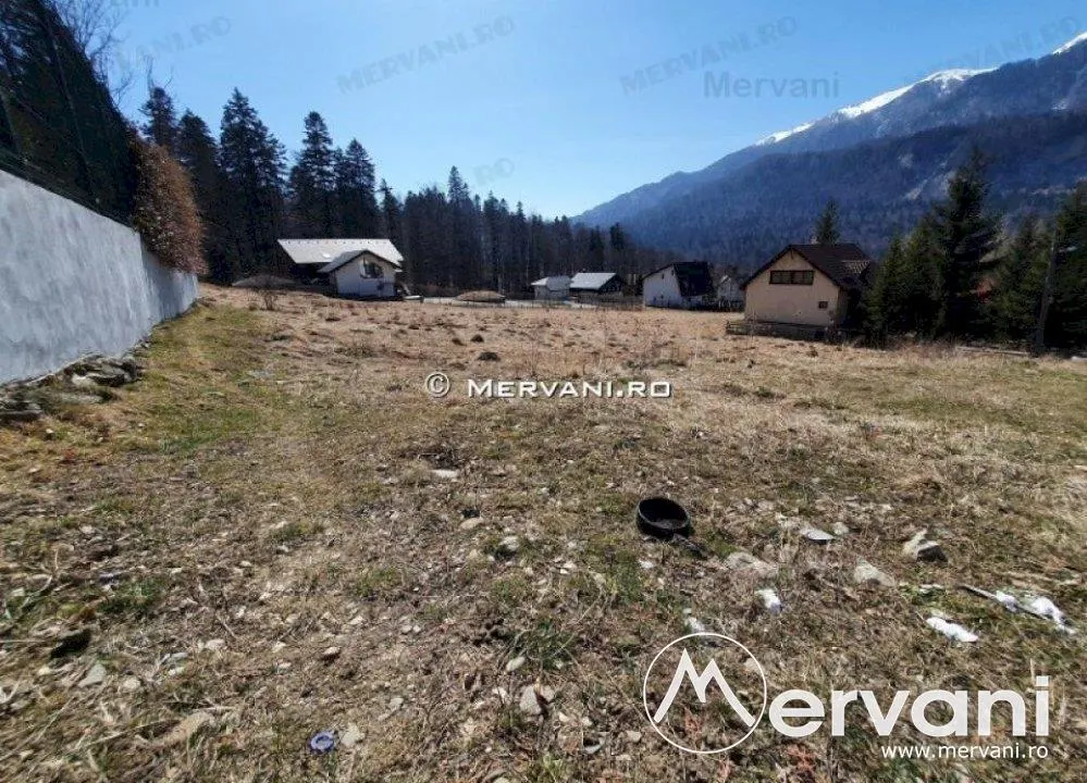 Teren de vanzare in Busteni (zona Piatra Arsa) - foto 2