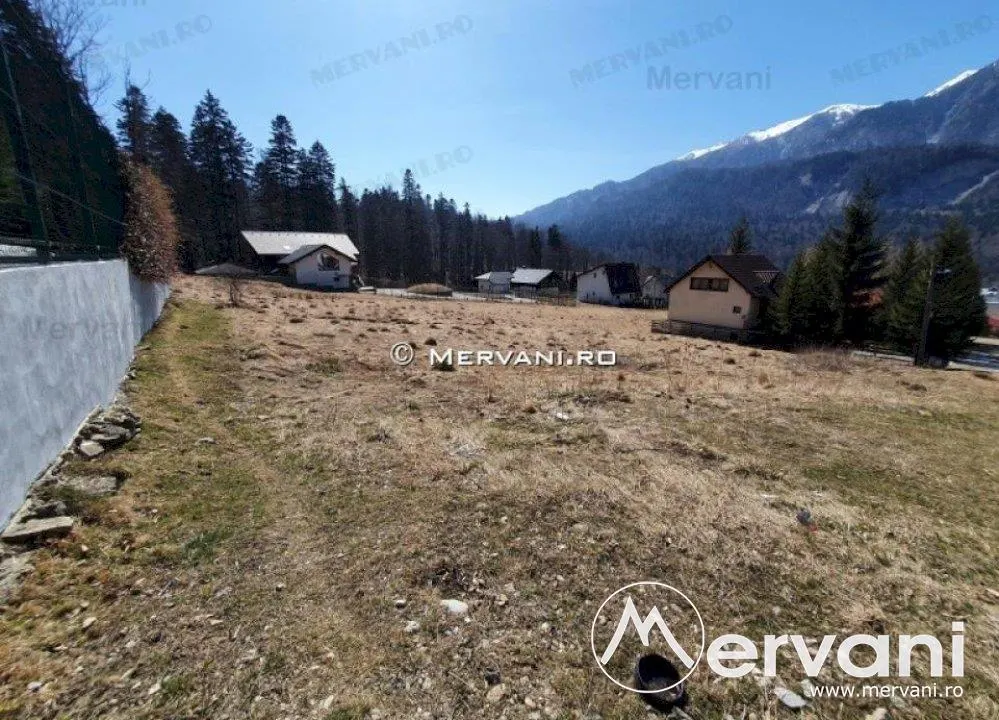 Teren de vanzare in Busteni (zona Piatra Arsa) - foto 3