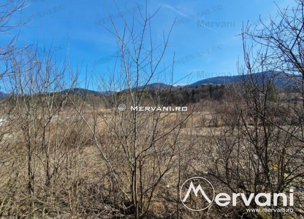 Teren de vanzare in Busteni (zona DN1) - foto 3
