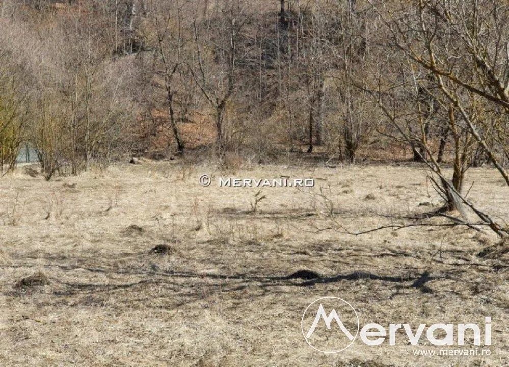 Teren de vanzare in Busteni (zona Piatra Arsa) - foto 3