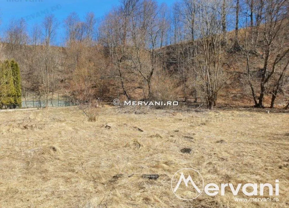 Teren de vanzare in Busteni (zona Piatra Arsa) - foto 4