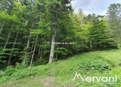 Teren Intravilan de Vanzare Sinaia ( zona Furnica) - foto 2