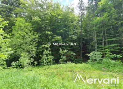 Teren Intravilan de Vanzare Sinaia ( zona Furnica) - foto 4