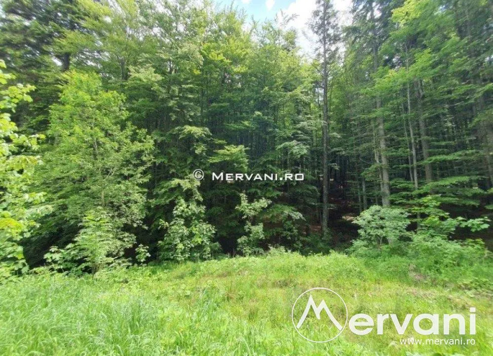 Teren Intravilan de Vanzare Sinaia ( zona Furnica) - foto 4
