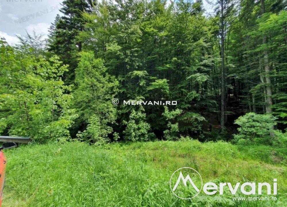 Teren Intravilan de Vanzare Sinaia ( zona Furnica) - foto 5