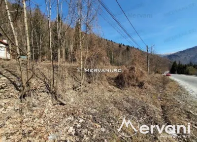 Teren Intravilan de vanzare in Sinaia - foto 3