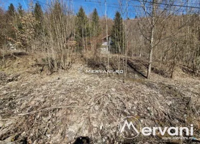 Teren Intravilan de vanzare in Sinaia - foto 4