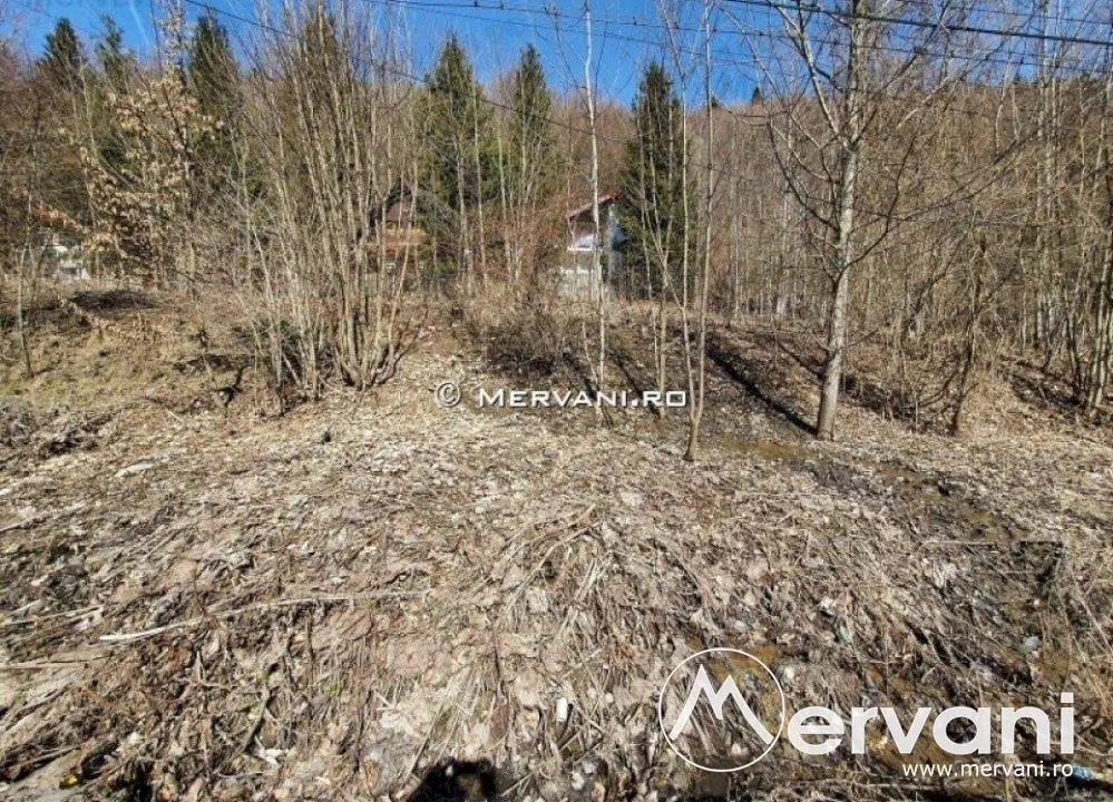 Teren Intravilan de vanzare in Sinaia - foto 4