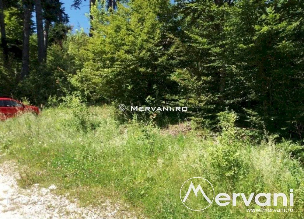 Teren Intravilan de Vanzare Sinaia - foto 3