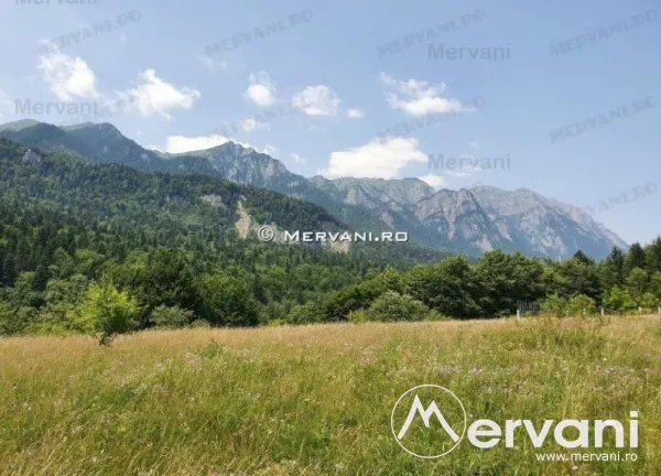 Teren Sinaia - poza 3
