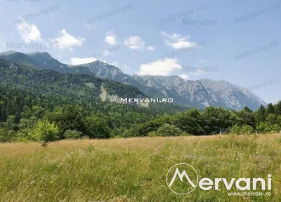 Teren Intravilan Sinaia (zona Cumpatu) - foto 3