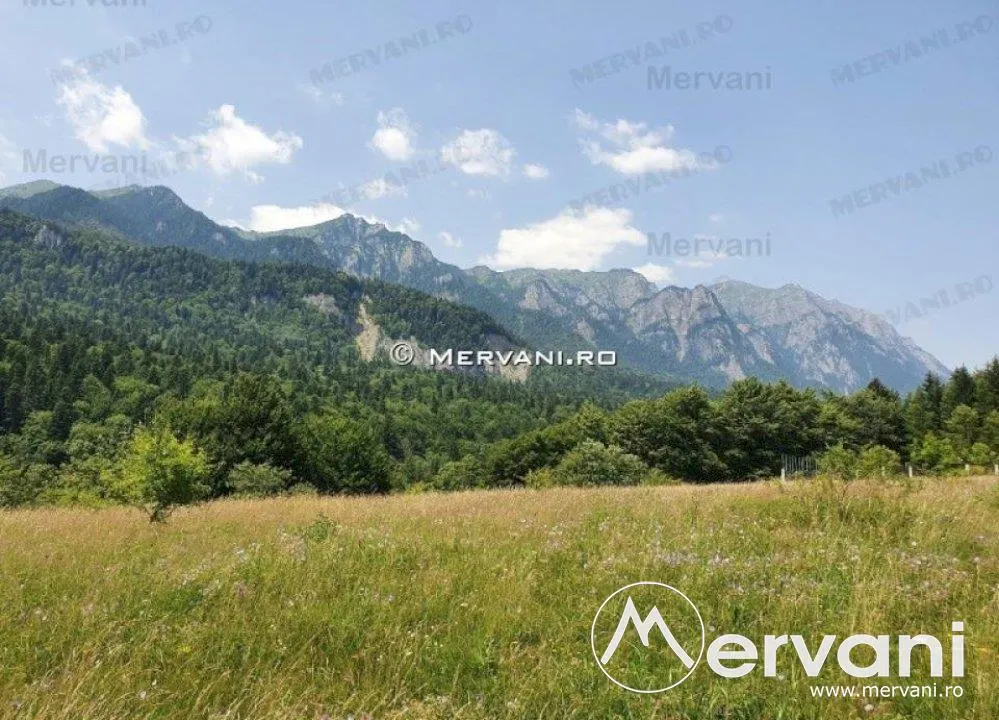 Teren Intravilan Sinaia (zona Cumpatu) - foto 3