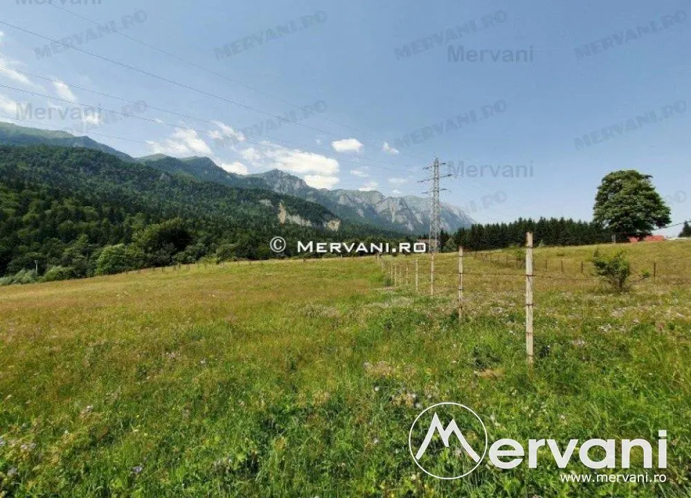 Teren Intravilan Sinaia (zona Cumpatu) - foto 5
