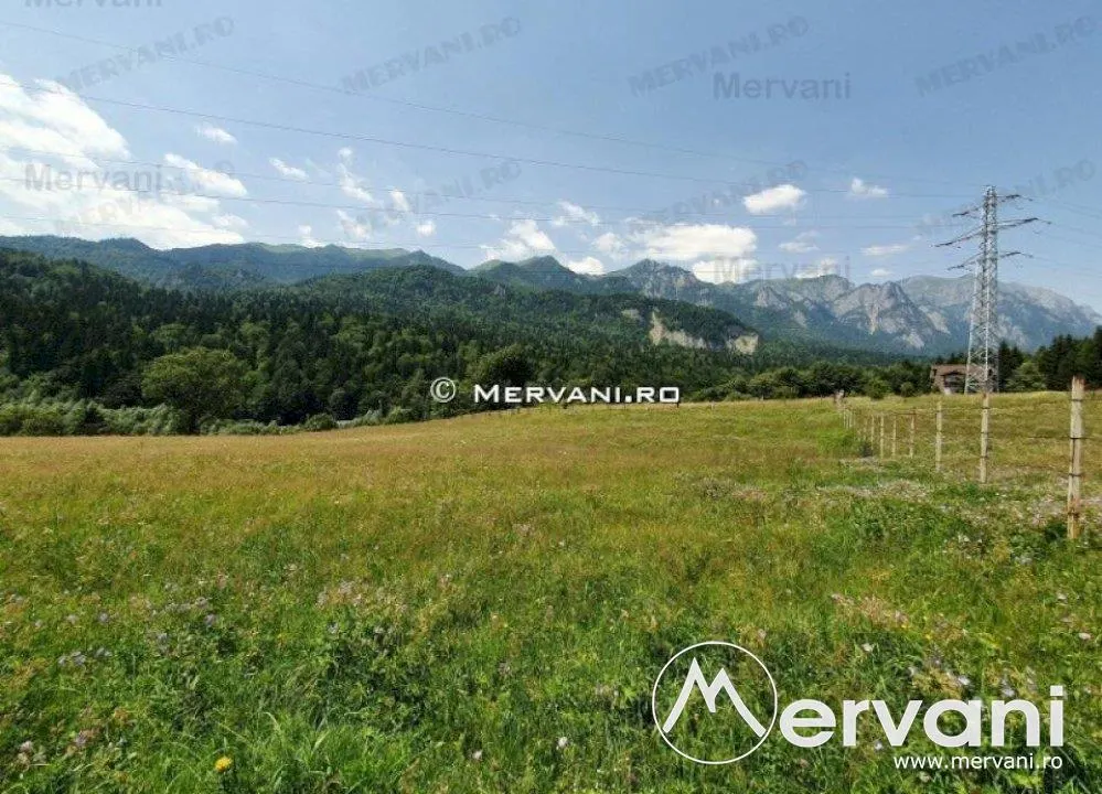 Teren Intravilan Sinaia (zona Cumpatu) - foto 6