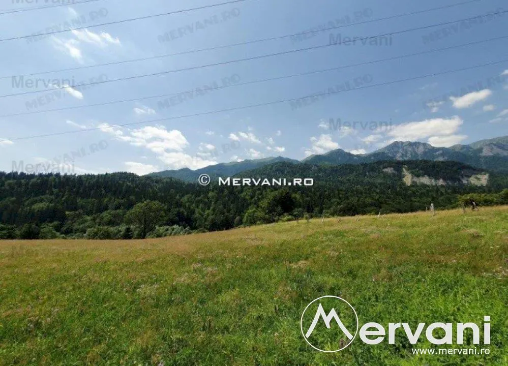Teren Intravilan Sinaia (zona Cumpatu) - foto 8