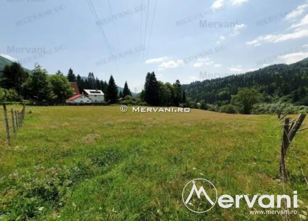Teren Sinaia - poza 9