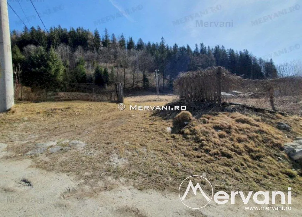 Teren Intravilan de vanzare in Sinaia - foto 4