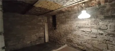 APARTAMENT ULTRACENTRAL , PIATA UNIRII, CUZA VODA 70 MP PLUS CURTE - foto 13