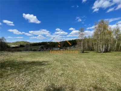 TEREN EXTRAVILAN | 103.000mp | BALANACA-GROSI | PASUNE | PASUNE IMPADURITA | BIHOR - Balnaca-Grosi