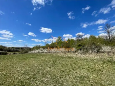 TEREN EXTRAVILAN | 103.000mp | BALANACA-GROSI | PASUNE | PASUNE IMPADURITA | BIHOR - foto 2