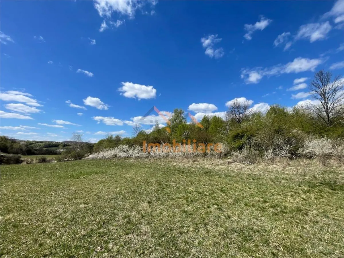TEREN EXTRAVILAN | 103.000mp | BALANACA-GROSI | PASUNE | PASUNE IMPADURITA | BIHOR - foto 2
