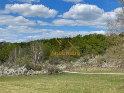 TEREN EXTRAVILAN | 103.000mp | BALANACA-GROSI | PASUNE | PASUNE IMPADURITA | BIHOR - foto 3