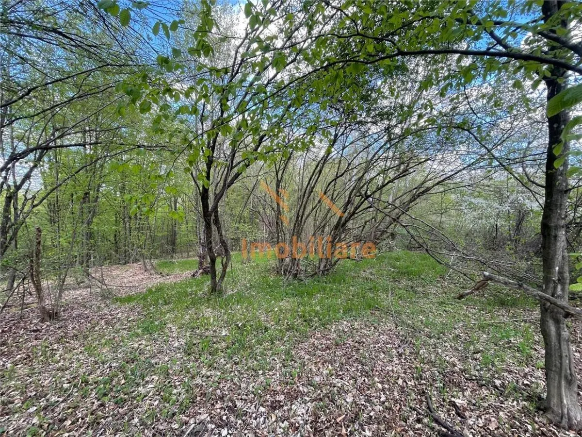 TEREN EXTRAVILAN | 103.000mp | BALANACA-GROSI | PASUNE | PASUNE IMPADURITA | BIHOR - foto 4