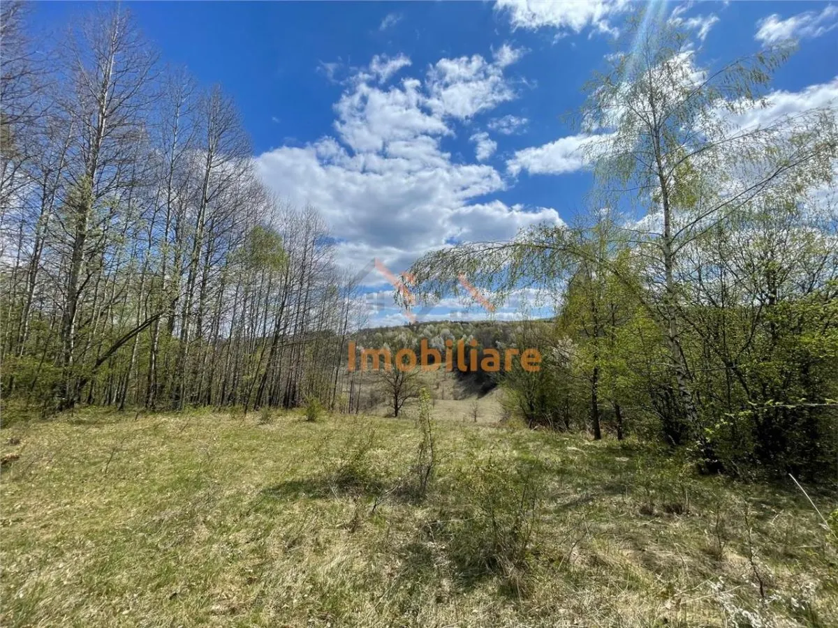 TEREN EXTRAVILAN | 103.000mp | BALANACA-GROSI | PASUNE | PASUNE IMPADURITA | BIHOR - foto 7