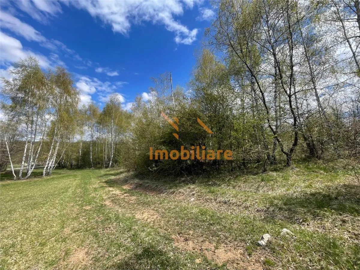 TEREN EXTRAVILAN | 103.000mp | BALANACA-GROSI | PASUNE | PASUNE IMPADURITA | BIHOR - foto 8