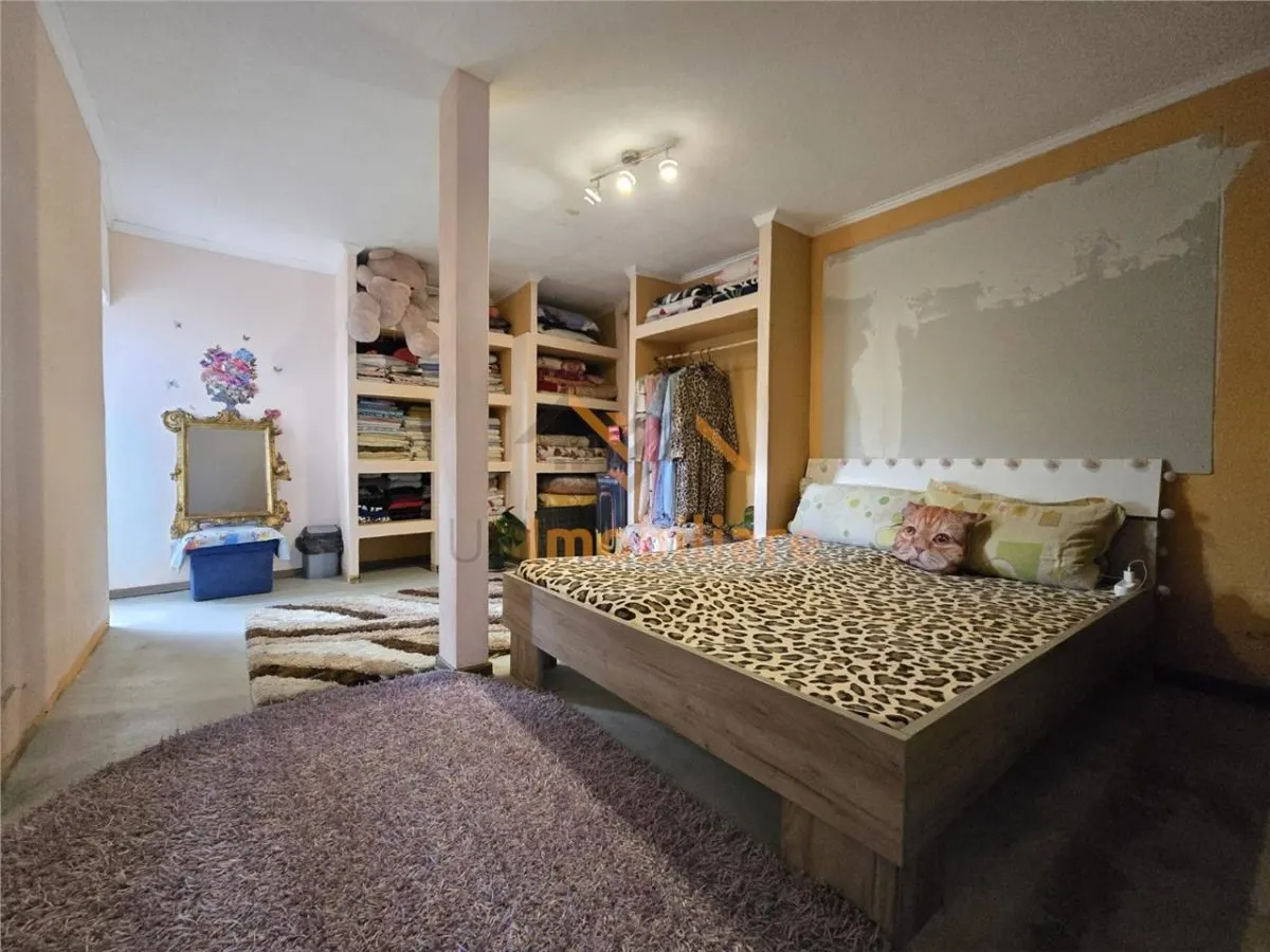 PROPRIETATE MULTIFUNCTIONALA | TEREN 3788 MP | SPALATORIE CAMIOANE + CASA |  DN1/E60 | TINAUD (ALESD) | BIHOR - foto 23
