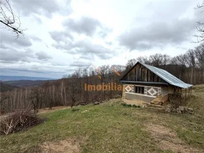 TEREN 34.000 MP | SERANI BIHOR - Serani